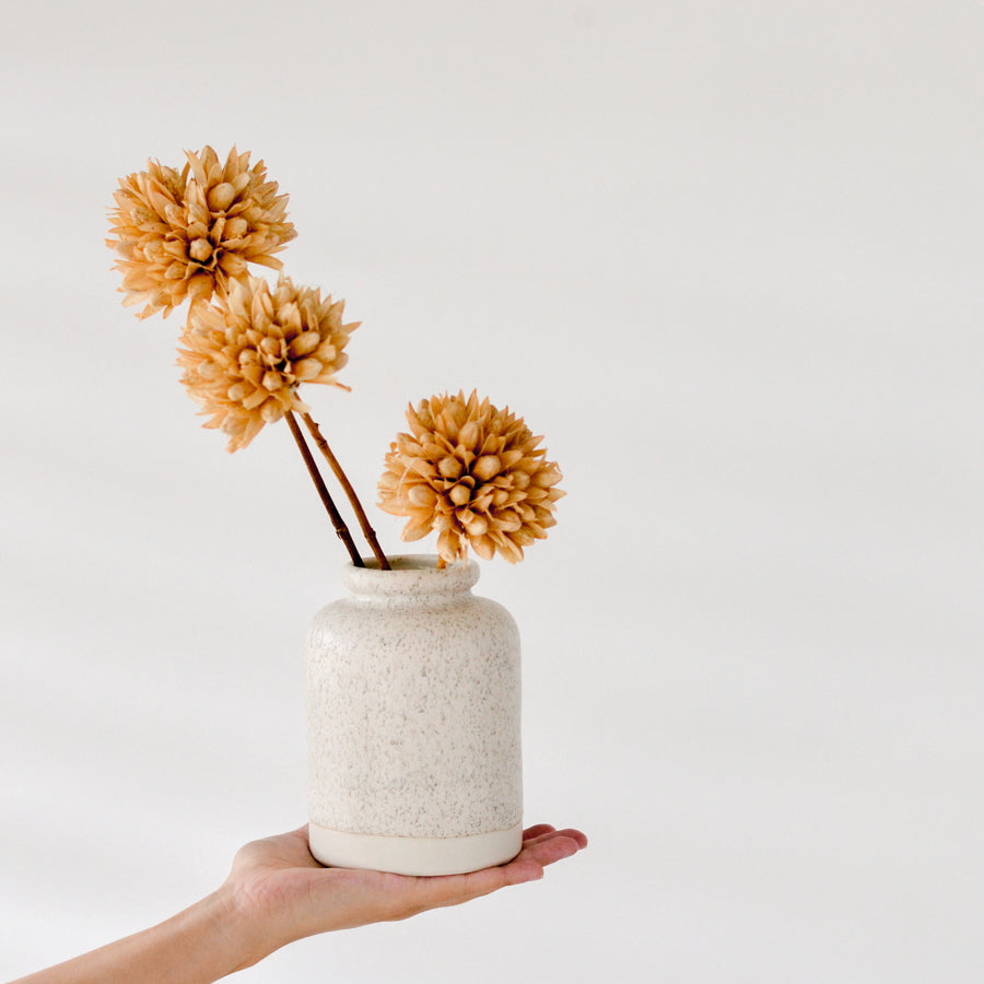 Stoneware jar {medium} ~ Haven