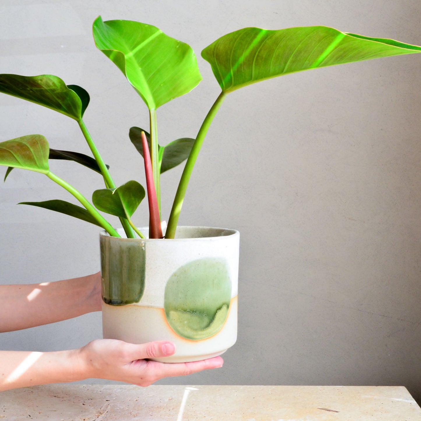 Ceramic planter ~ Moss