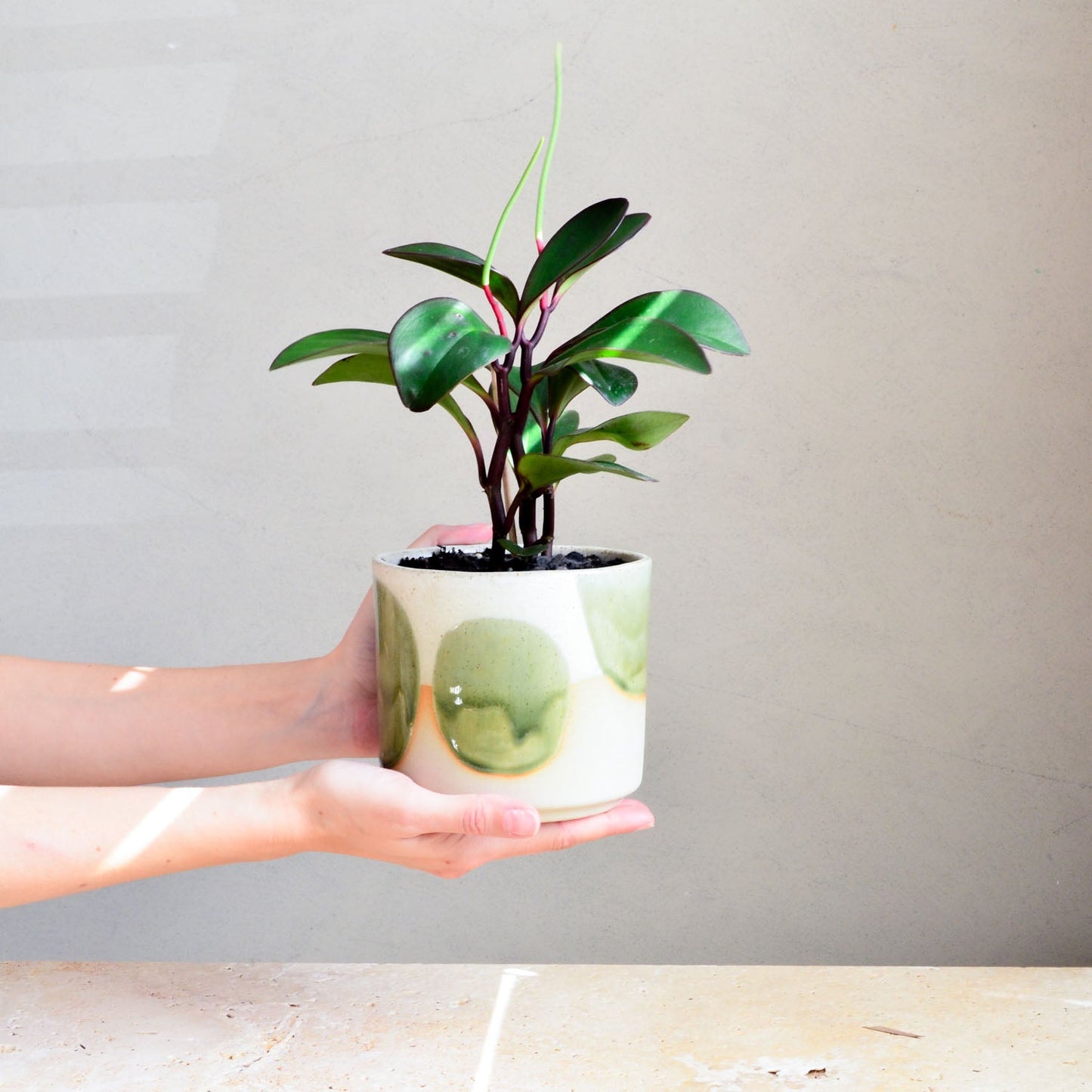 Ceramic planter ~ Moss