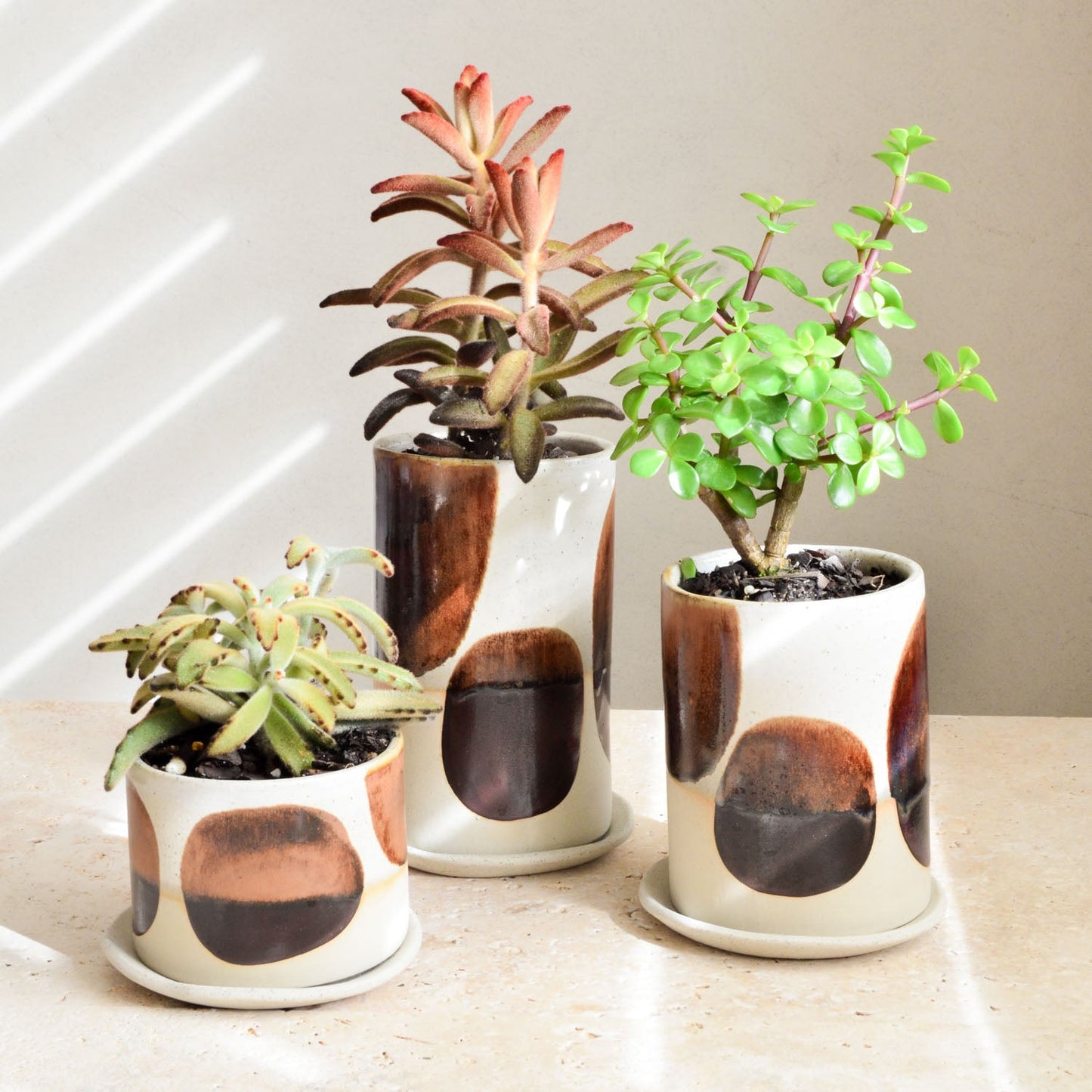 Succulent pot ~ Coffee