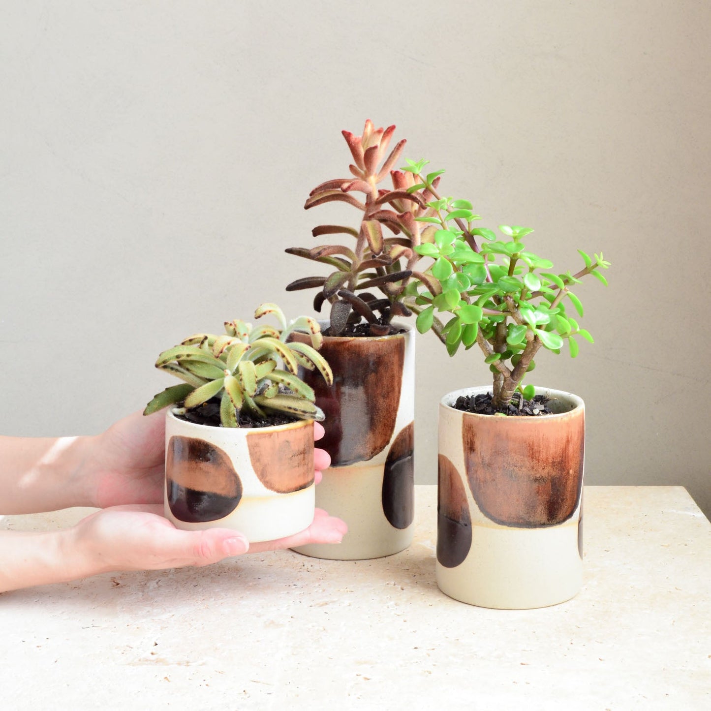 Succulent pot ~ Coffee