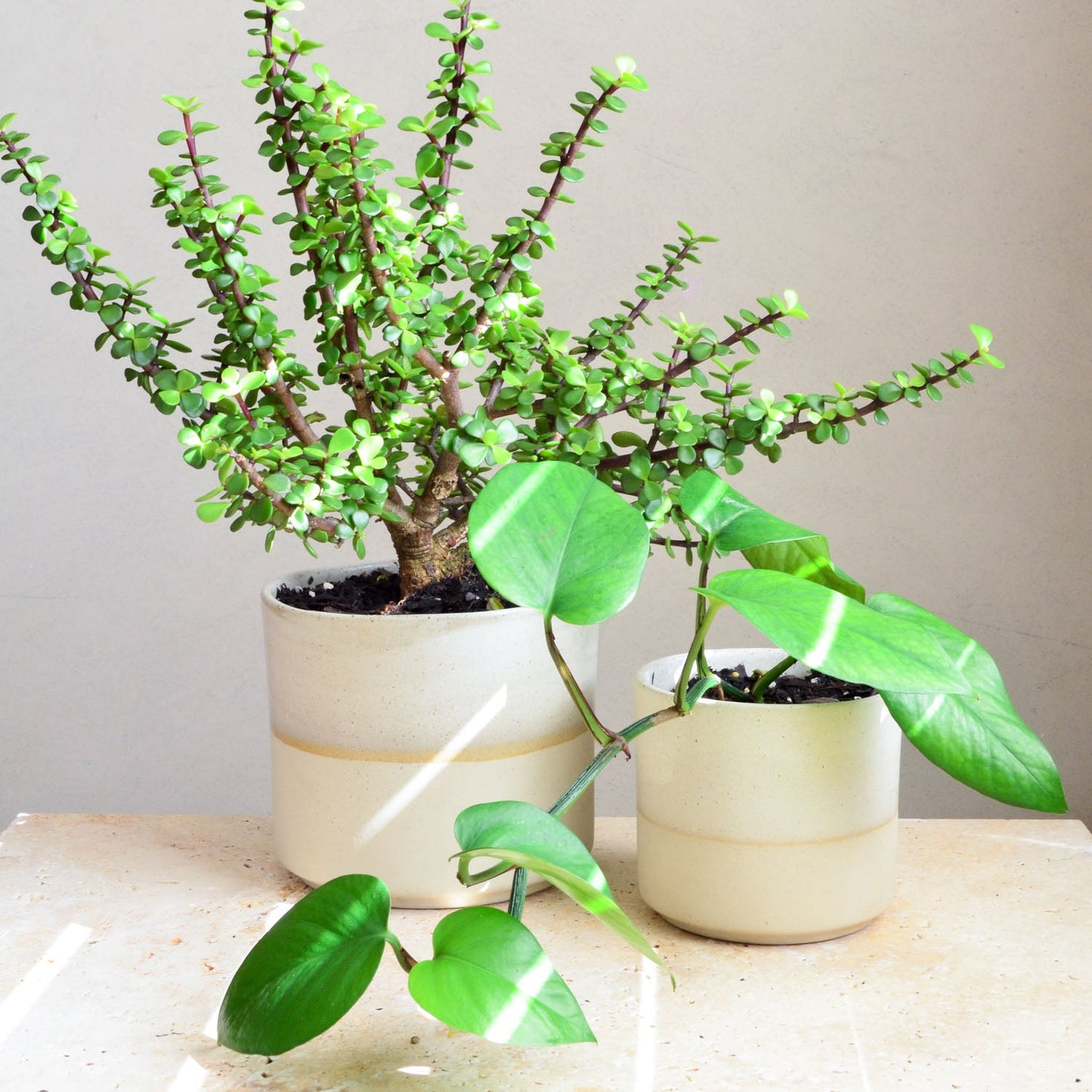 Ceramic planter ~ Driftwood