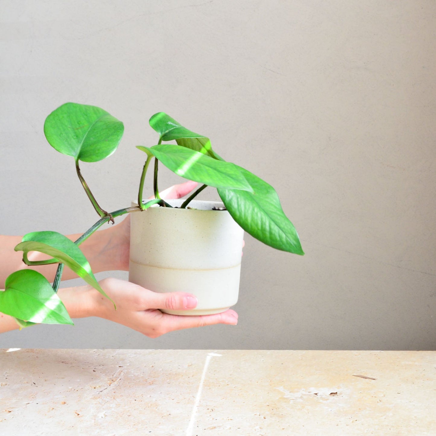 Ceramic planter ~ Driftwood