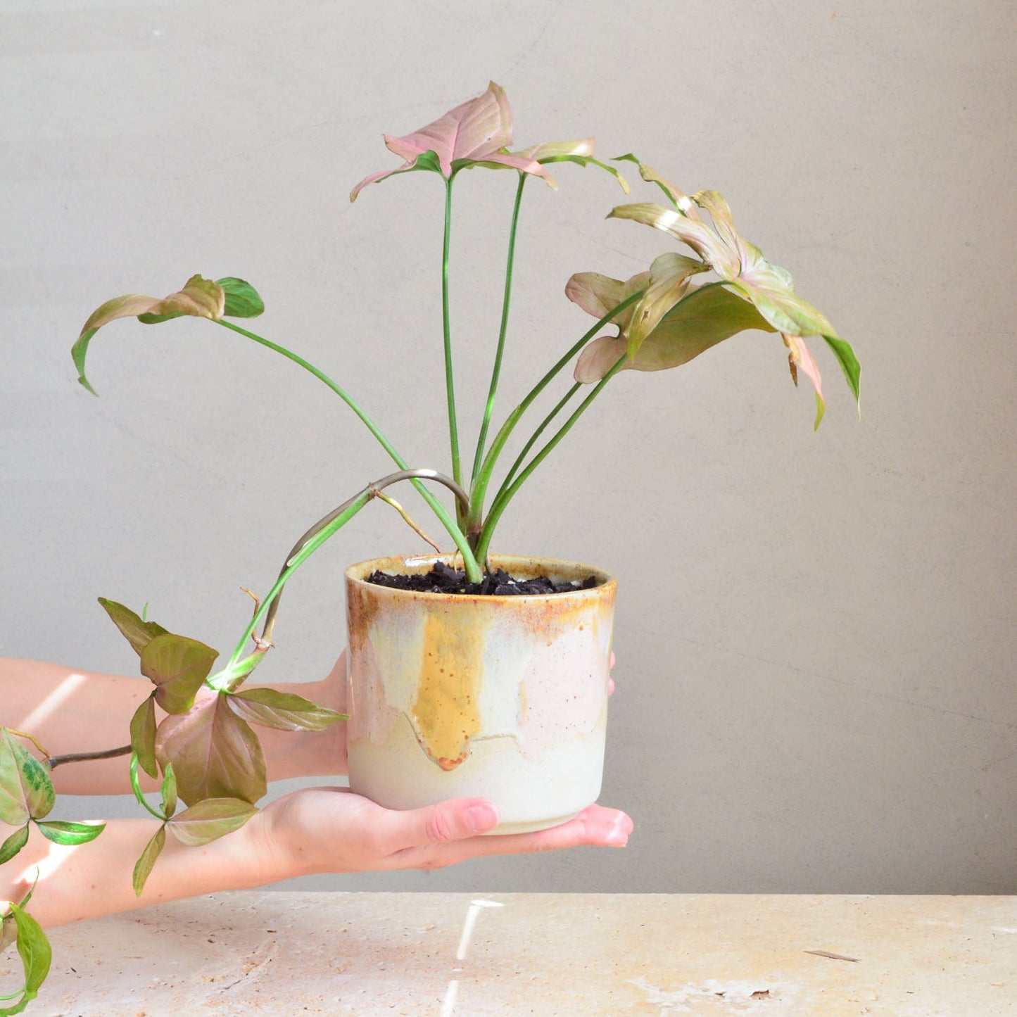 Ceramic planter ~ Earthy Retro