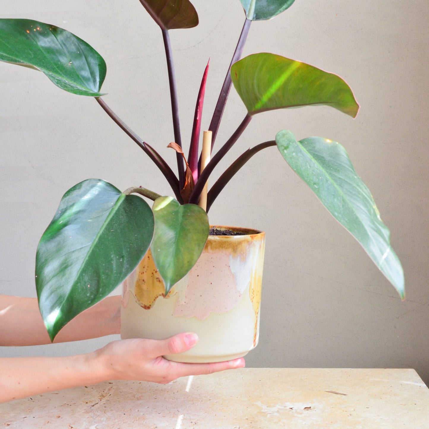 Ceramic planter ~ Earthy Retro