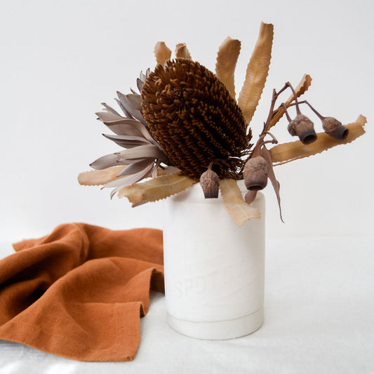 Spotswood jar ~ Matte White