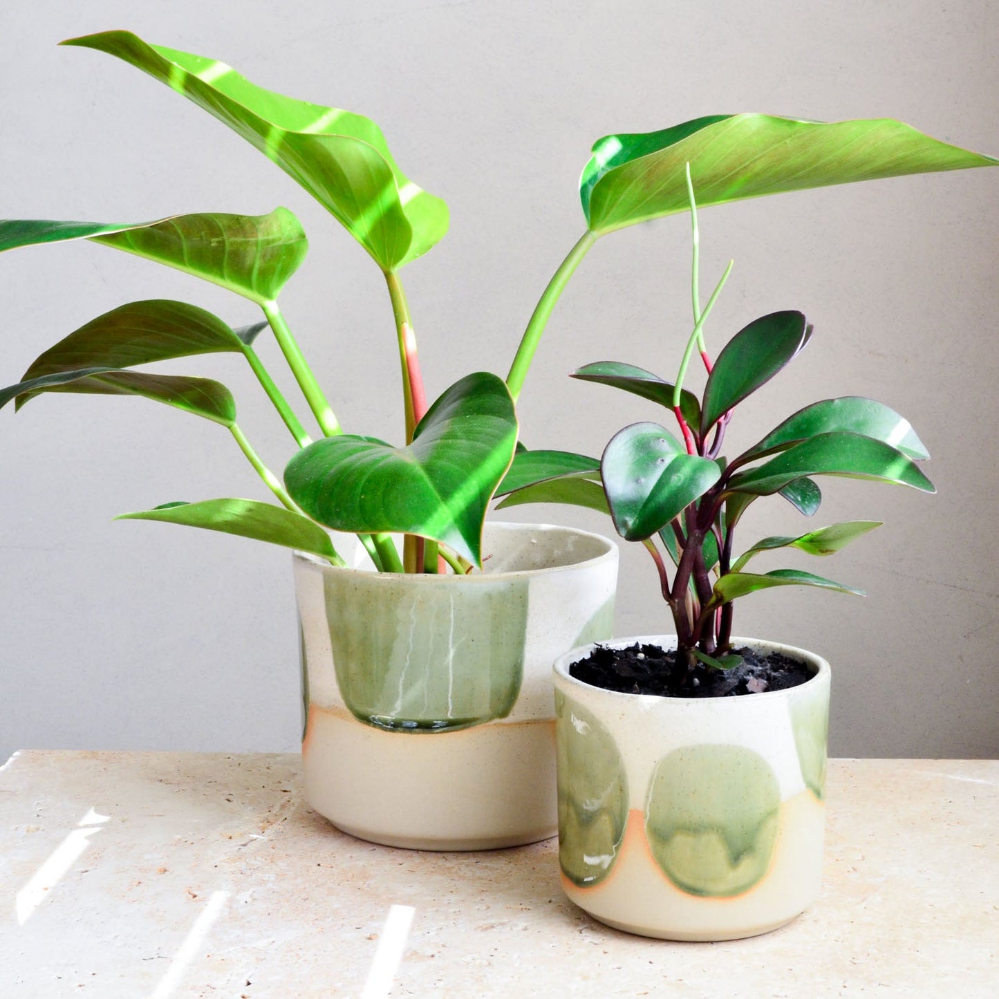 Ceramic planter ~ Moss