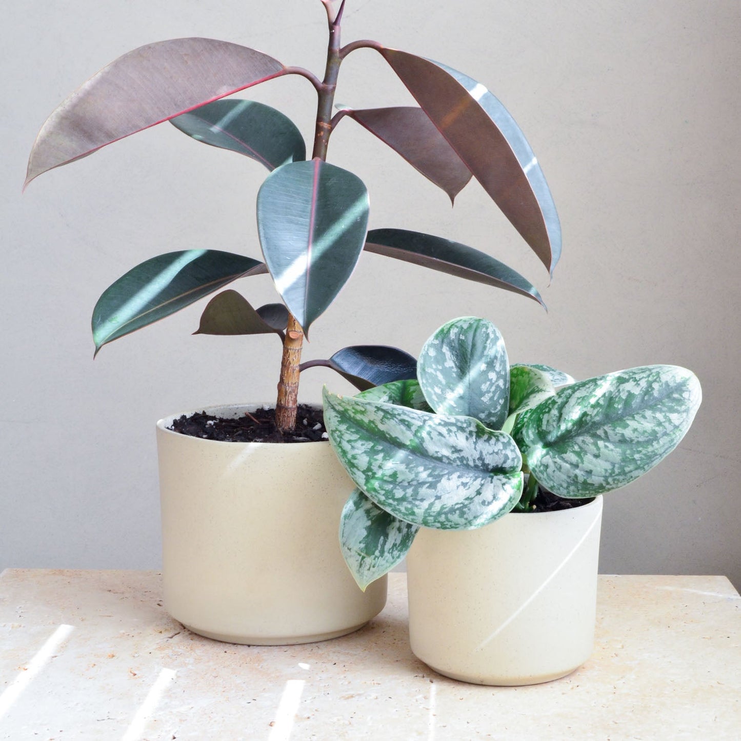 Ceramic planter ~ Natural