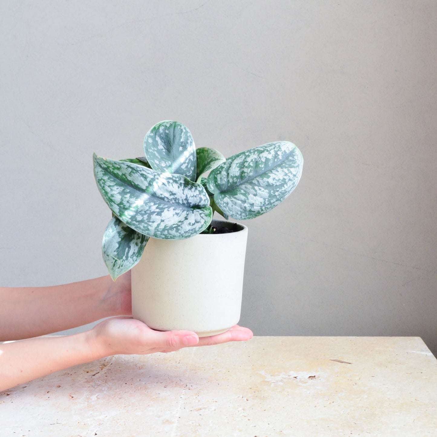 Ceramic planter ~ Natural