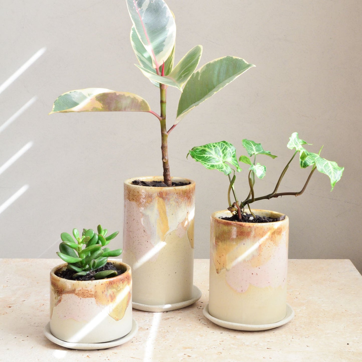 Succulent pot ~ Earthy Retro