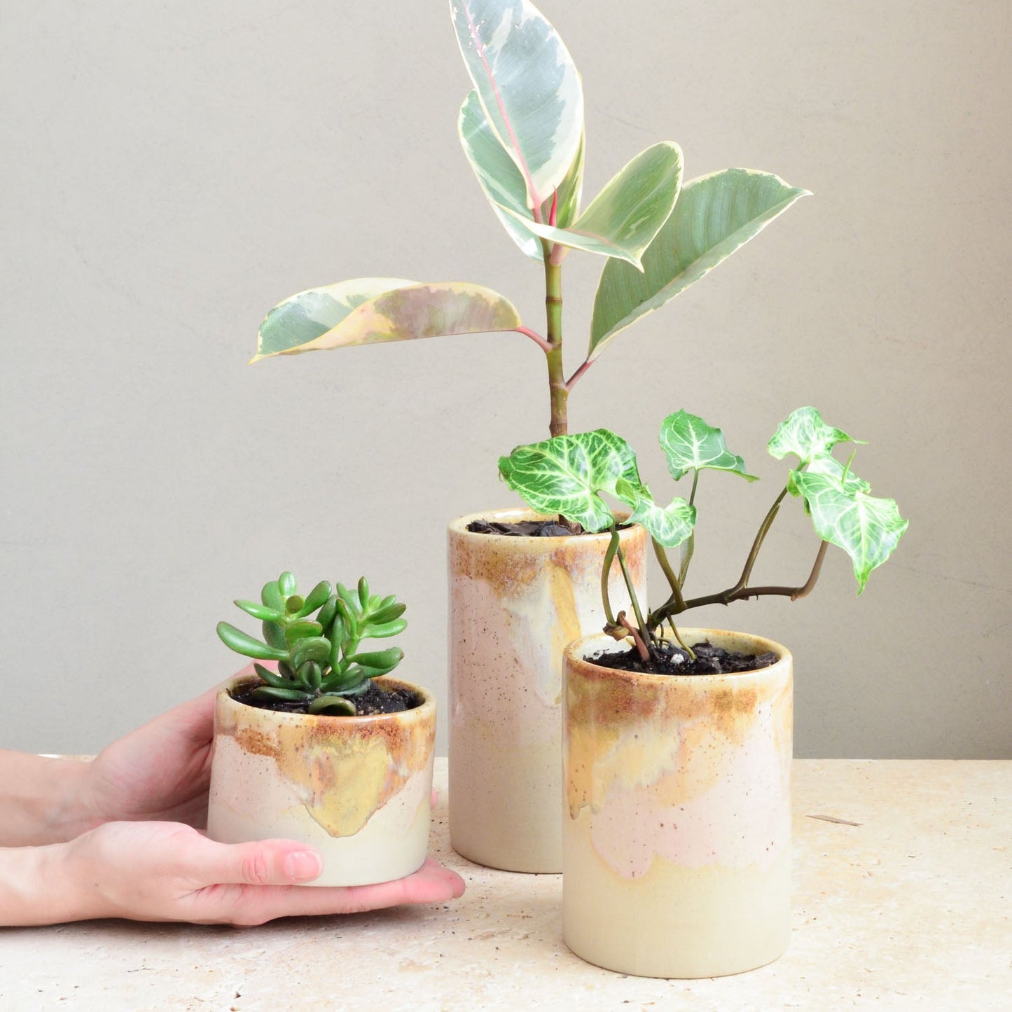 Succulent pot ~ Earthy Retro