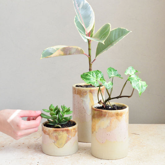 Succulent pot ~ Earthy Retro