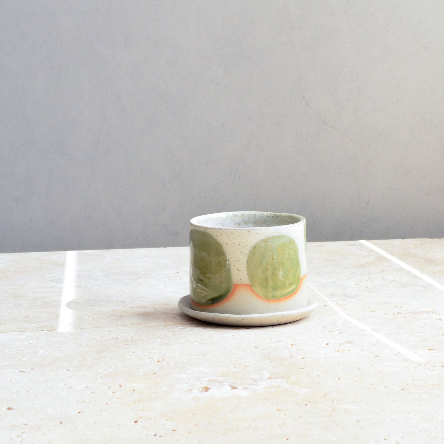 Succulent pot ~ Moss
