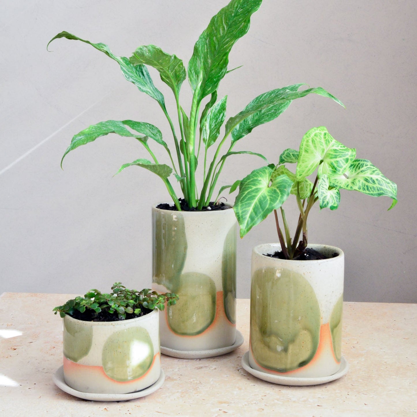 Succulent pot ~ Moss