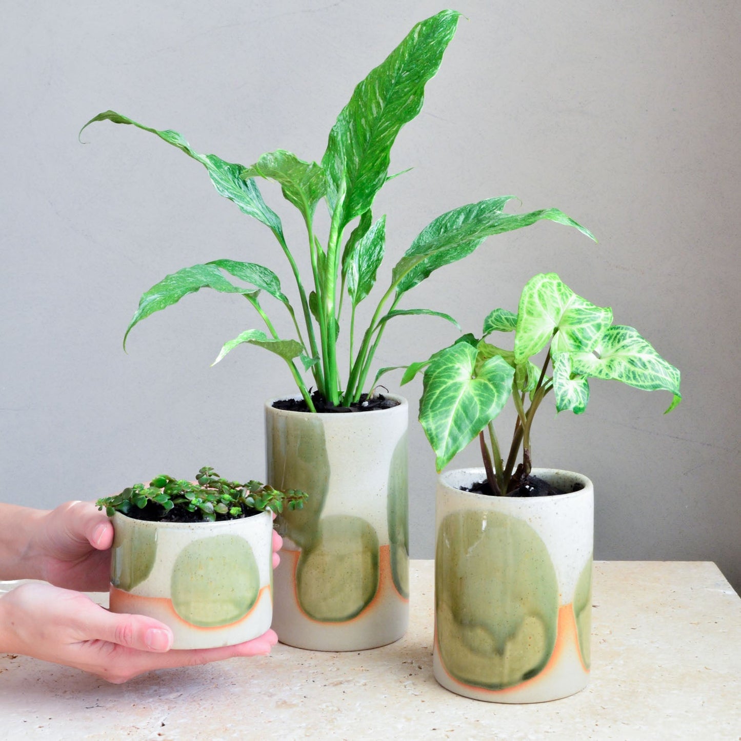 Succulent pot ~ Moss